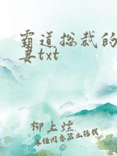 霸道总裁的挂名妻txt
