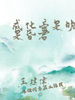 成化帝是明君还是昏君