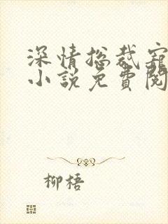 深情总裁宠不停小说免费阅读