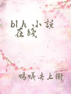 bl h 小说 在线