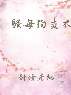 骚母狗爽不爽