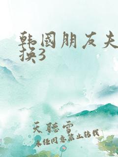 韩国朋友夫妇交换3