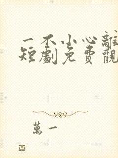 一不小心离错婚短剧免费观看