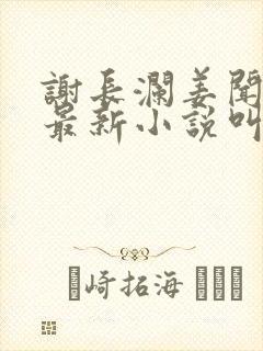 谢长澜姜闻缨的最新小说叫什么名字