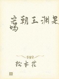 宋朝王渊是好人吗