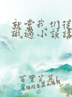 就当我们从没认识过小说讲的什么