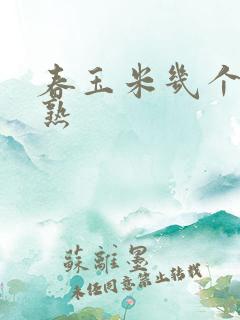 春玉米几个月成熟