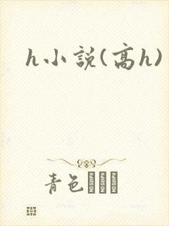 h小说(高h)