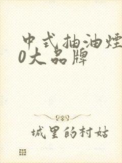 中式抽油烟机10大品牌