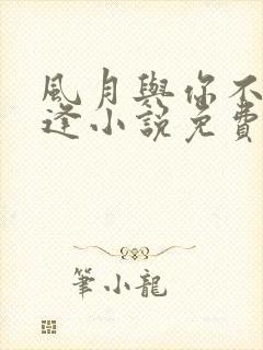 风月与你不再相逢小说免费阅读