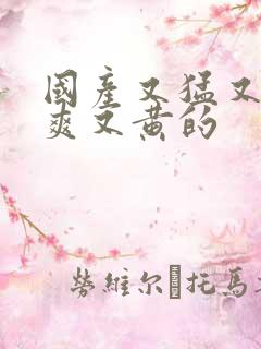 国产又猛又粗又爽又黄的