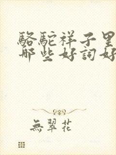 骆驼祥子里面有哪些好词好句