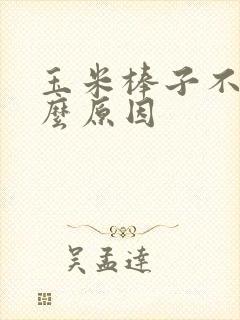 玉米棒子不大什么原因 玉米棒子不大什么原因