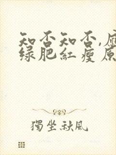知否知否,应是绿肥红瘦原著小说
