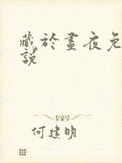 藏于昼夜免费小说