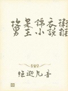 攻是锦衣卫的双男主小说推荐