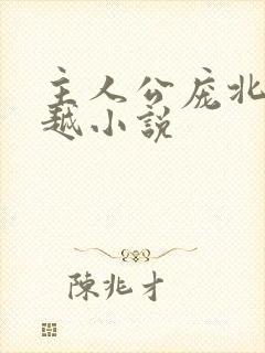 主人公庞北的穿越小说