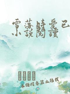 雪落时爱已落幕小说阅读