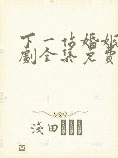 下一站婚姻电视剧全集免费观看高清