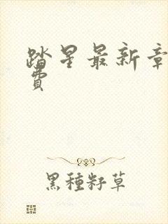 踏星最新章节免费