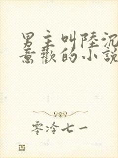 男主叫陆沉舟沈意欢的小说