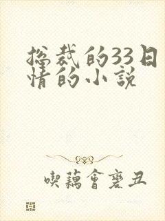 总裁的33日索情的小说
