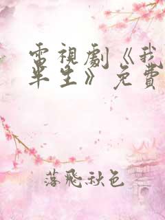 电视剧《我的后半生》免费观看