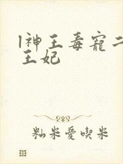 l神王毒宠二嫁王妃