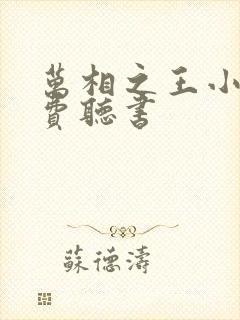 万相之王小说免费听书