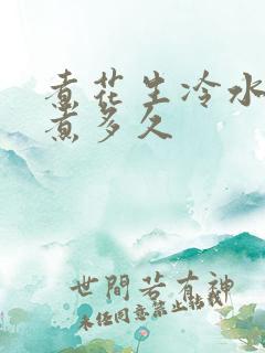 煮花生冷水下锅煮多久