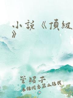 小说《顶级弃少》