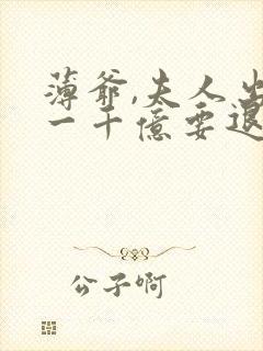 薄爷,夫人出价一千亿要退婚阅读阅读全文