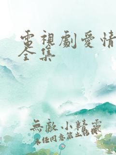 电视剧爱情先生全集