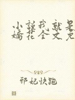 小说我就是如此娇花全文免费阅读