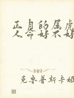 正月的属虎的女人命好不好