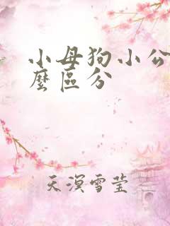 小母狗小公狗怎么区分