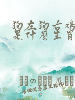 狗左狗右鸡中彩是什么生肖