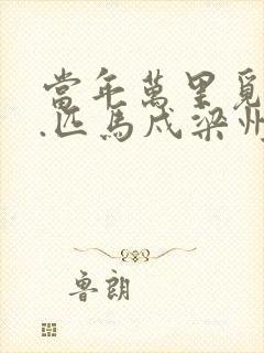 当年万里觅封侯.匹马戍梁州