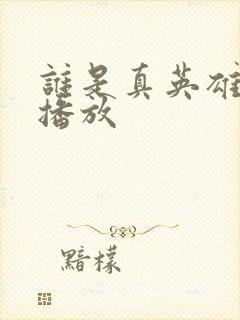 谁是真英雄全集播放