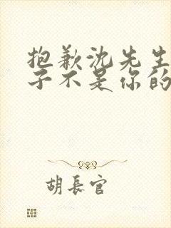 抱歉沈先生,孩子不是你的短剧免费看