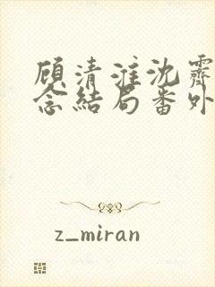 顾清淮沈霁禾乔念结局番外