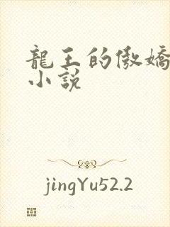 龙王的傲娇日常小说