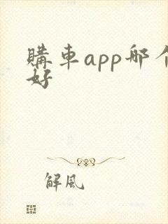 购车app哪个好