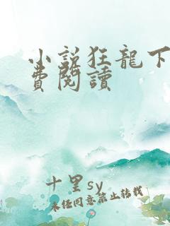 小说狂龙下山免费阅读