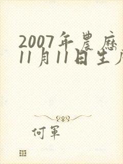 2007年农历11月11日生辰八字