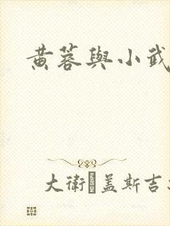 黄蓉与小武
