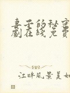 妻子的秘密电视剧在线免费观看
