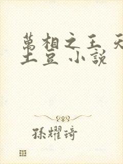 万相之王 天蚕土豆 小说