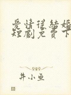 爱情从结婚开始短剧免费下载