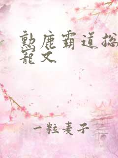 勋鹿霸道总裁甜宠文